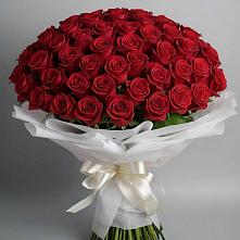 Букет 101 Красная роза Блэк Мэджик в Новорайчихинске