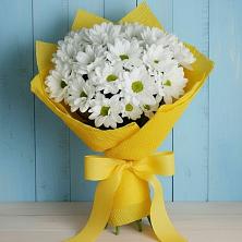 Букет цветов из:  Хризантемы в Новорайчихинске