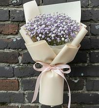 Букет цветов из:  Гипсофила в Новорайчихинске