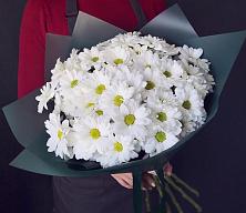 Букет цветов из:  Хризантемы #REPLACE_PRED# Новорайчихинске