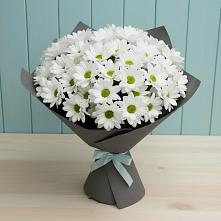 Букет цветов из:  Хризантемы #REPLACE_PRED# Новорайчихинске