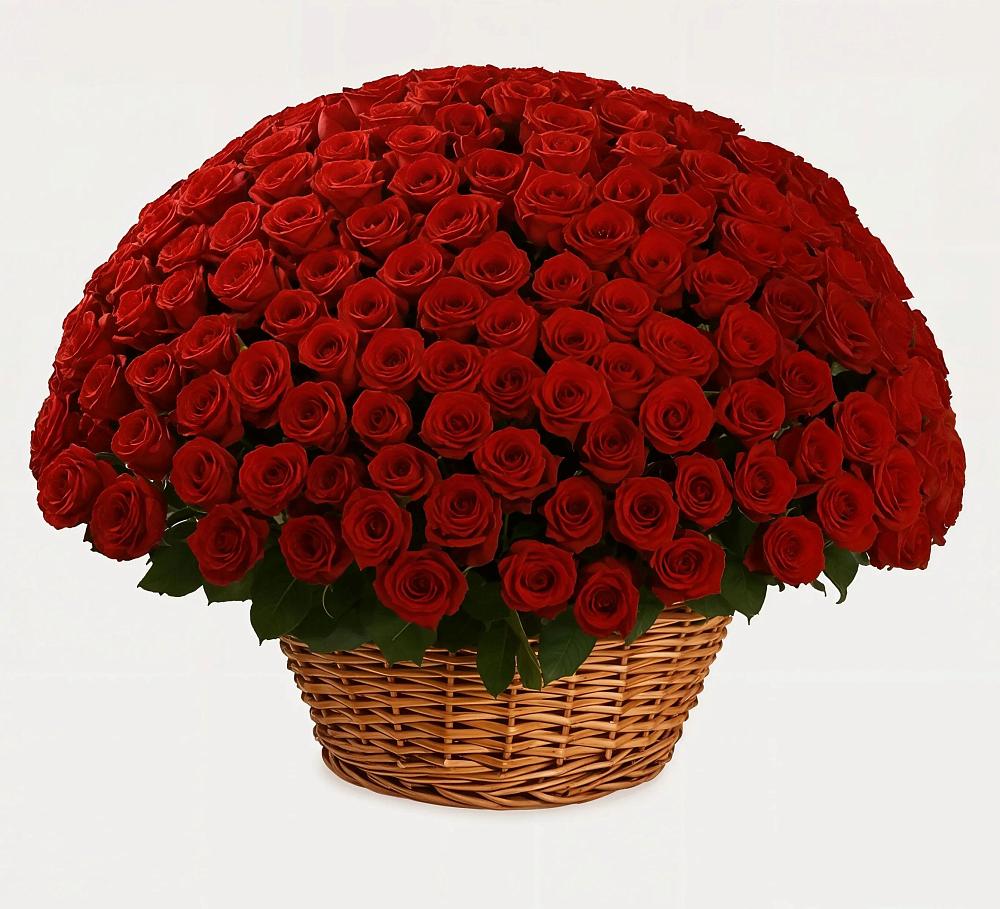 Премиум букет из: Розы в Новорайчихинске