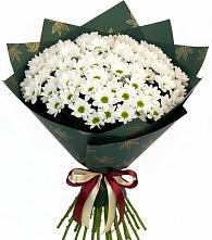 Букет цветов из:  Хризантемы в Новорайчихинске