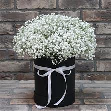 Цветочная композиция из Гипсофила в шляпной коробке в Новорайчихинске