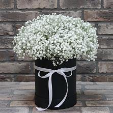 Цветочная композиция из Гипсофила в шляпной коробке в Новорайчихинске